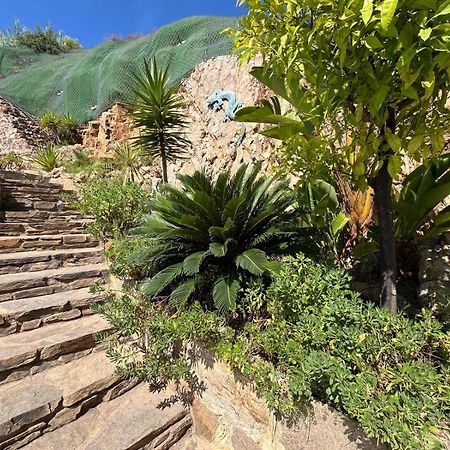 Meuble Tourisme 4*, Les Pieds Dans L'Eau, Villa Las Palmeras La Londe-les-Maures Exterior photo
